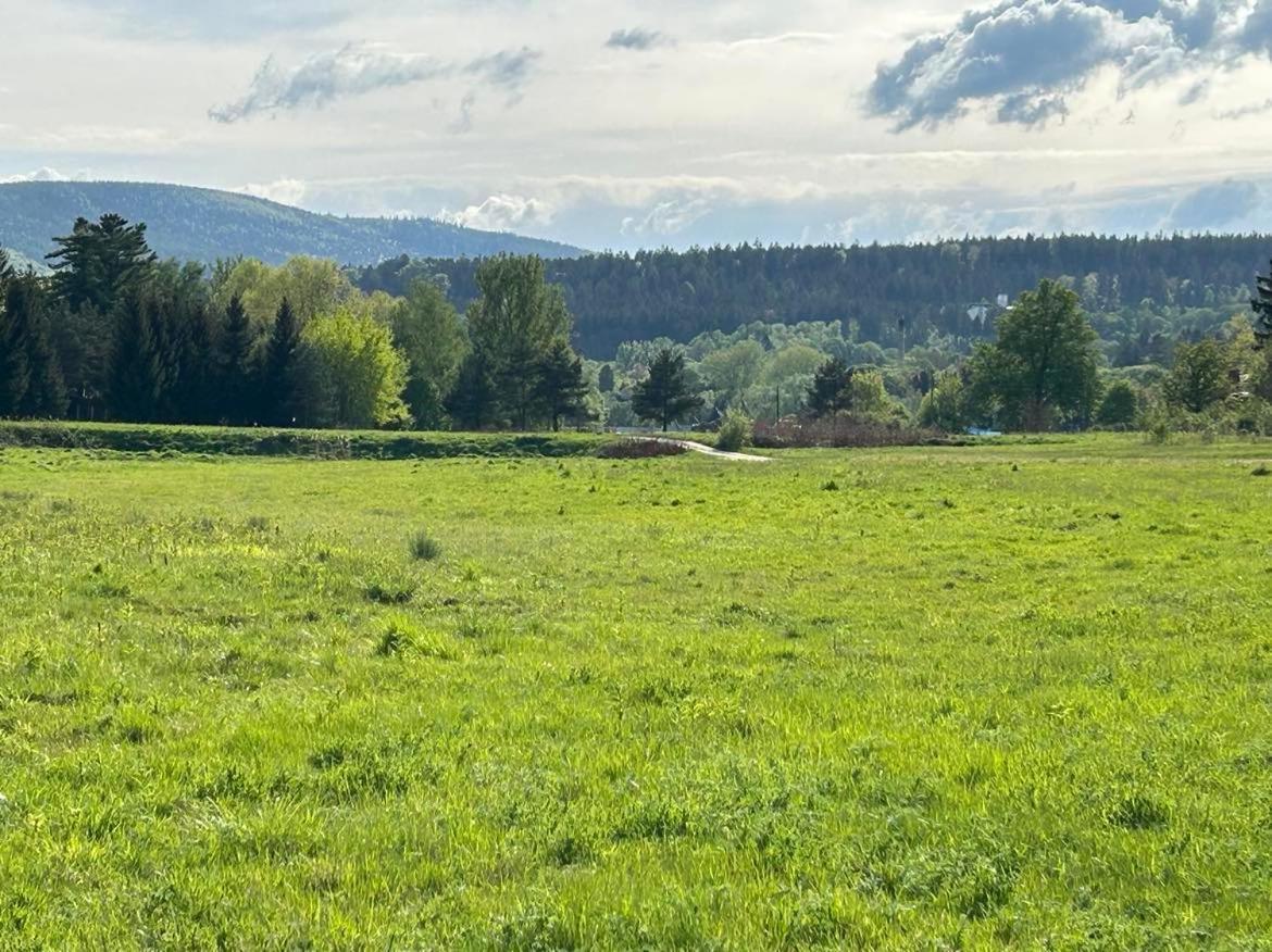 Lesny Park Polanica Lejlighed Szczytna Eksteriør billede