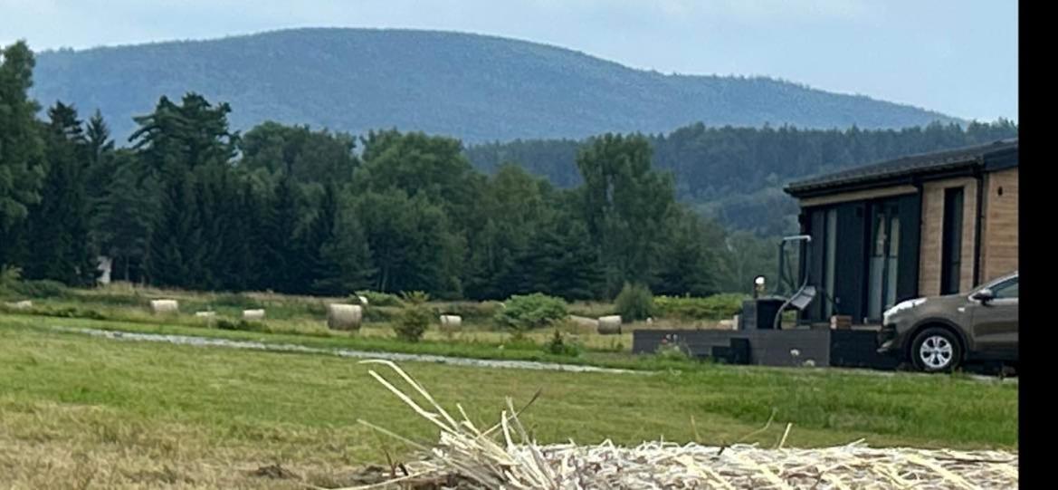 Lesny Park Polanica Lejlighed Szczytna Eksteriør billede